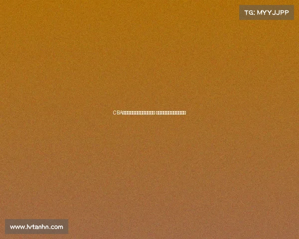 CBA球鞋发展历程与热门款式解析 打造属于中国篮球的鞋文化