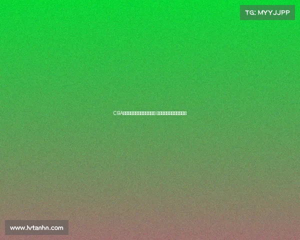 CBA球鞋发展历程与热门款式解析 打造属于中国篮球的鞋文化