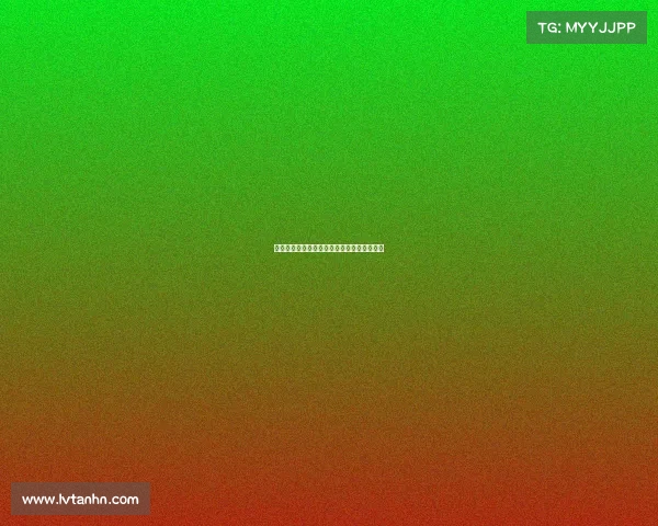 英超新赛季球队阵容解析与冠军争夺前景展望